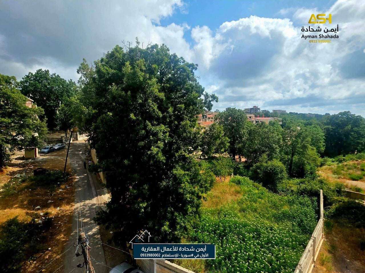 منزل ١٨٠ متر - صلنفة - صورة 2