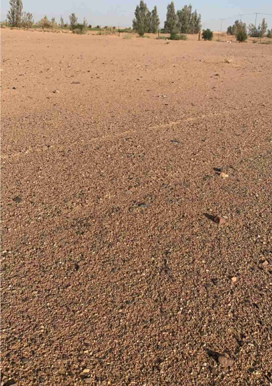 للبيع أرض طابو اخضر - داريا - صورة 2