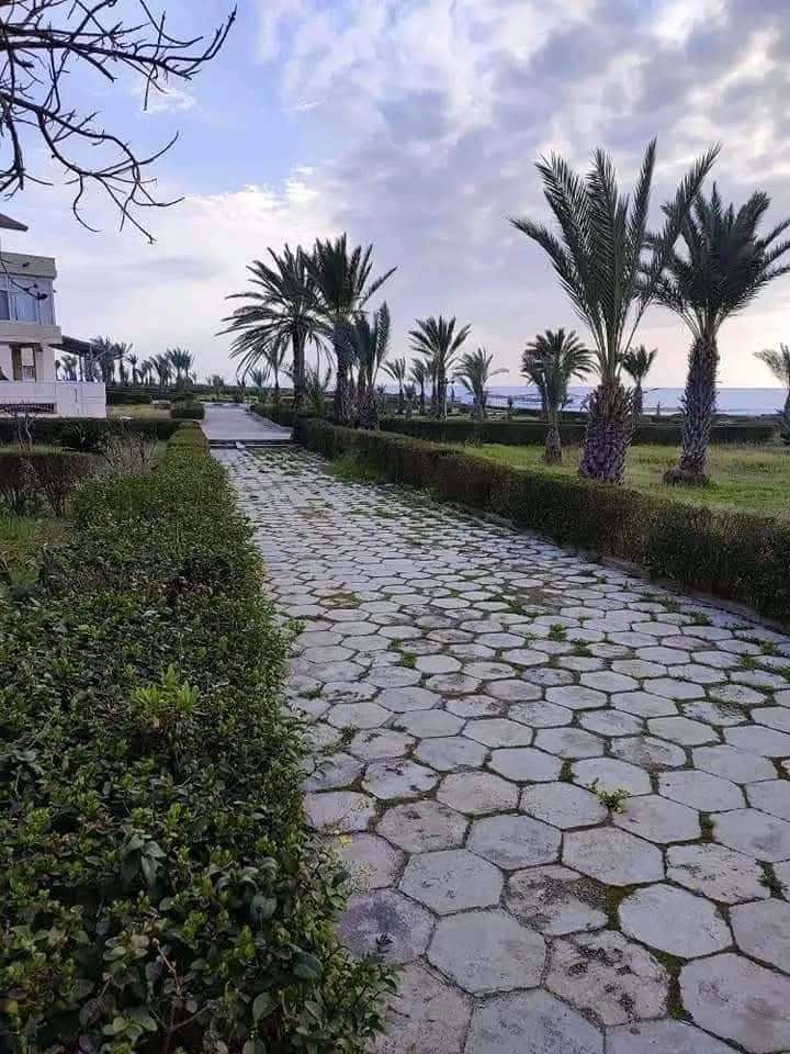 شاليه بحريه بمساحه 110 م - طرطوس - صورة 2