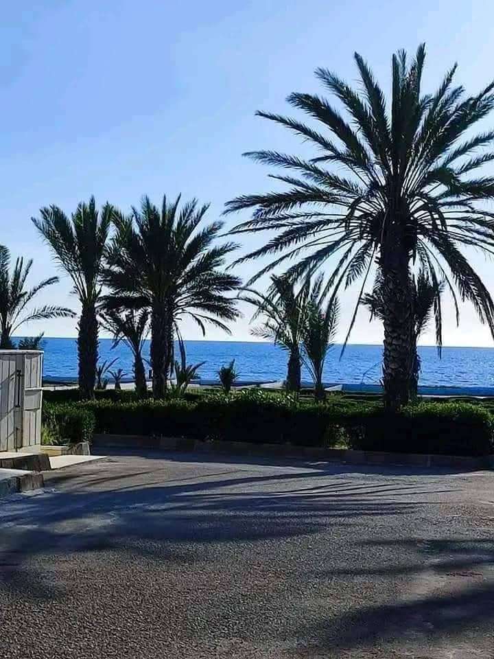 شاليه بحريه بمساحه 110 م - طرطوس - صورة 3