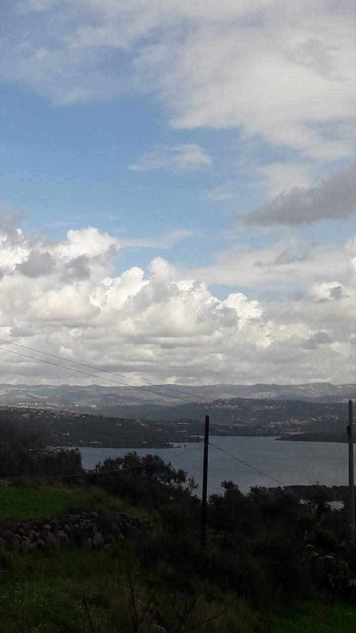 ارض بمساحة 3 دونم - طرطوس