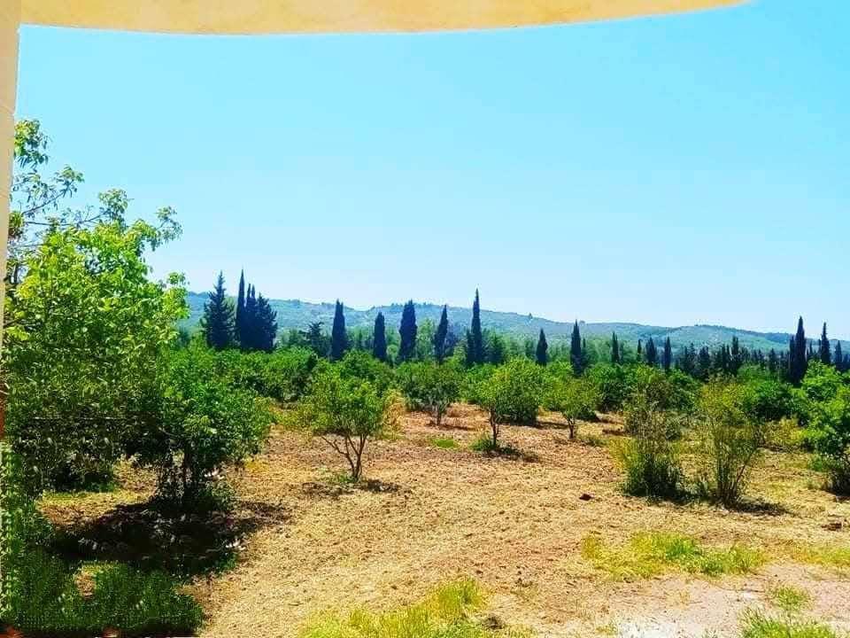 ارض زراعية بمساحة 6.5 دنم - اللاذقية - صورة 2