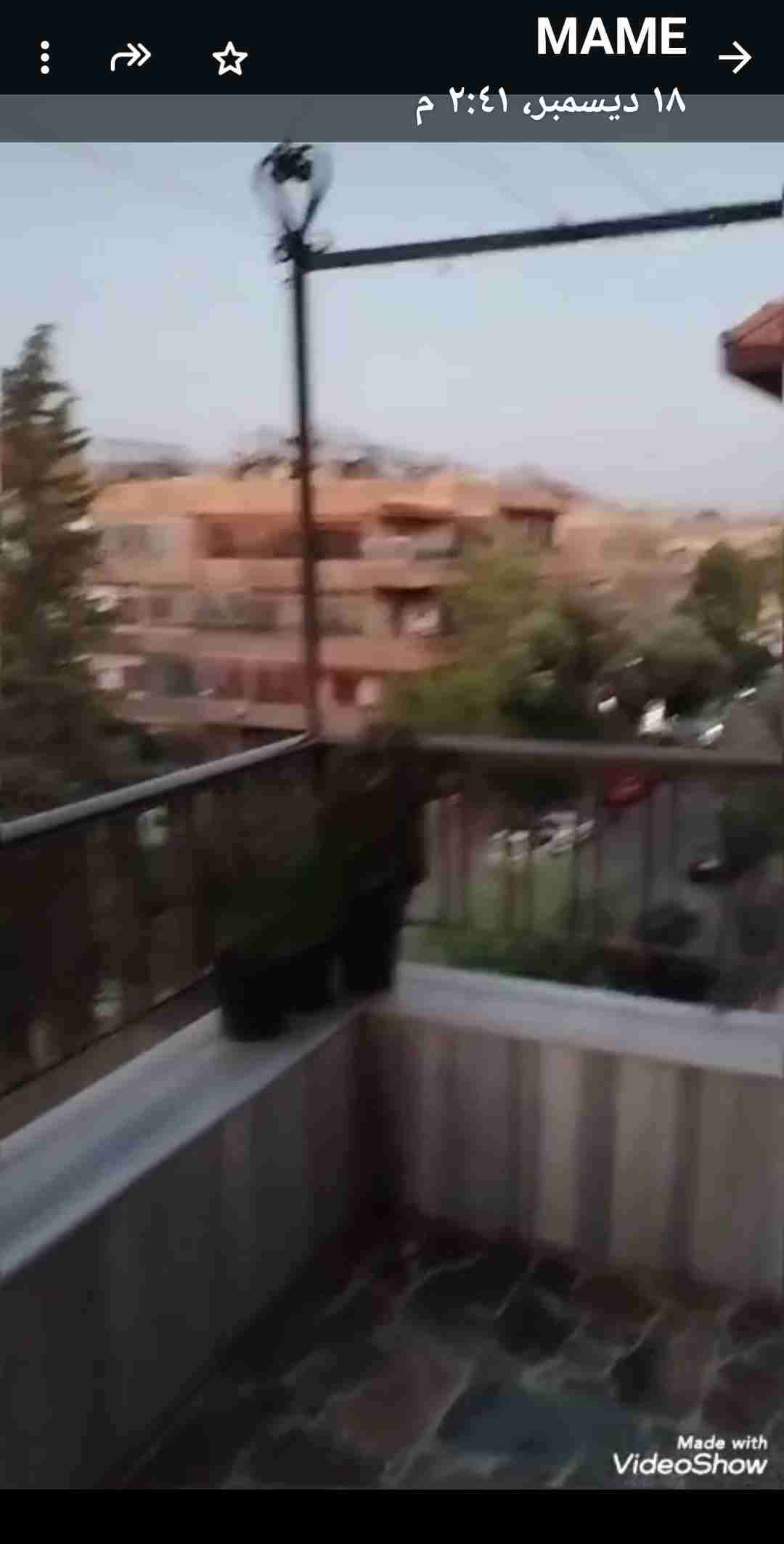 عقار بلبرامكه - دمشق - صورة 2