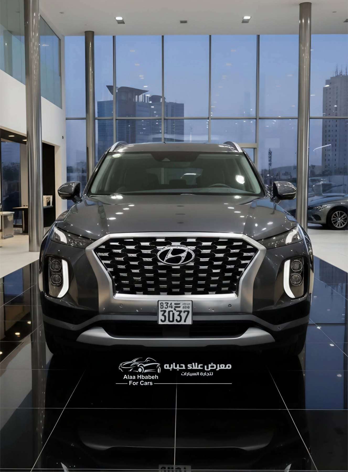 Hyundai Palisade VIP - طرطوس
