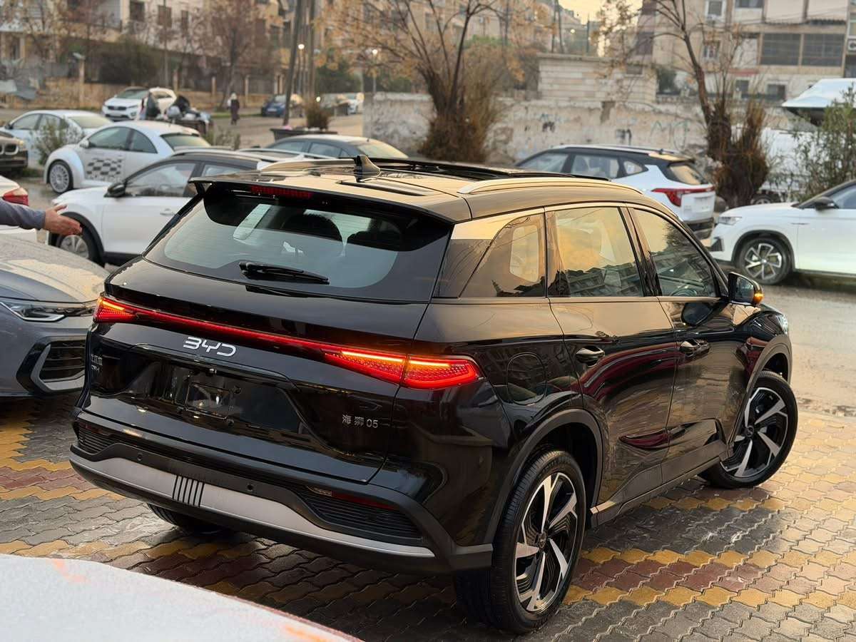 BYD Sea Lion 05 DMI - حلب - صورة 2