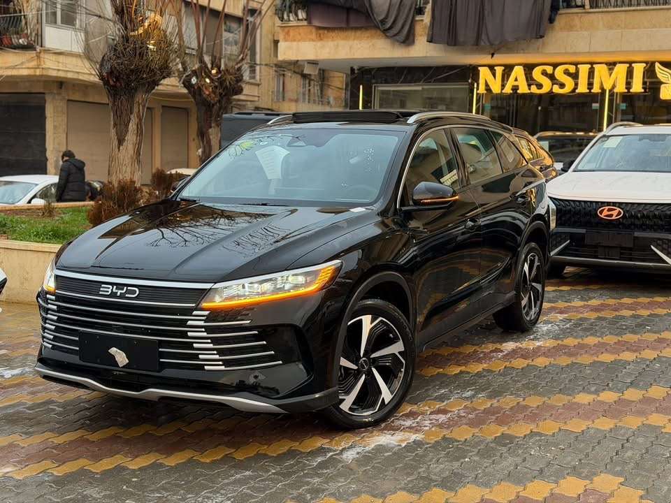 BYD Sea Lion 05 DMI - حلب - صورة 6