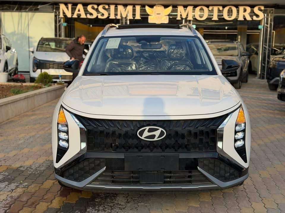 Hyundai Mufasa - حلب