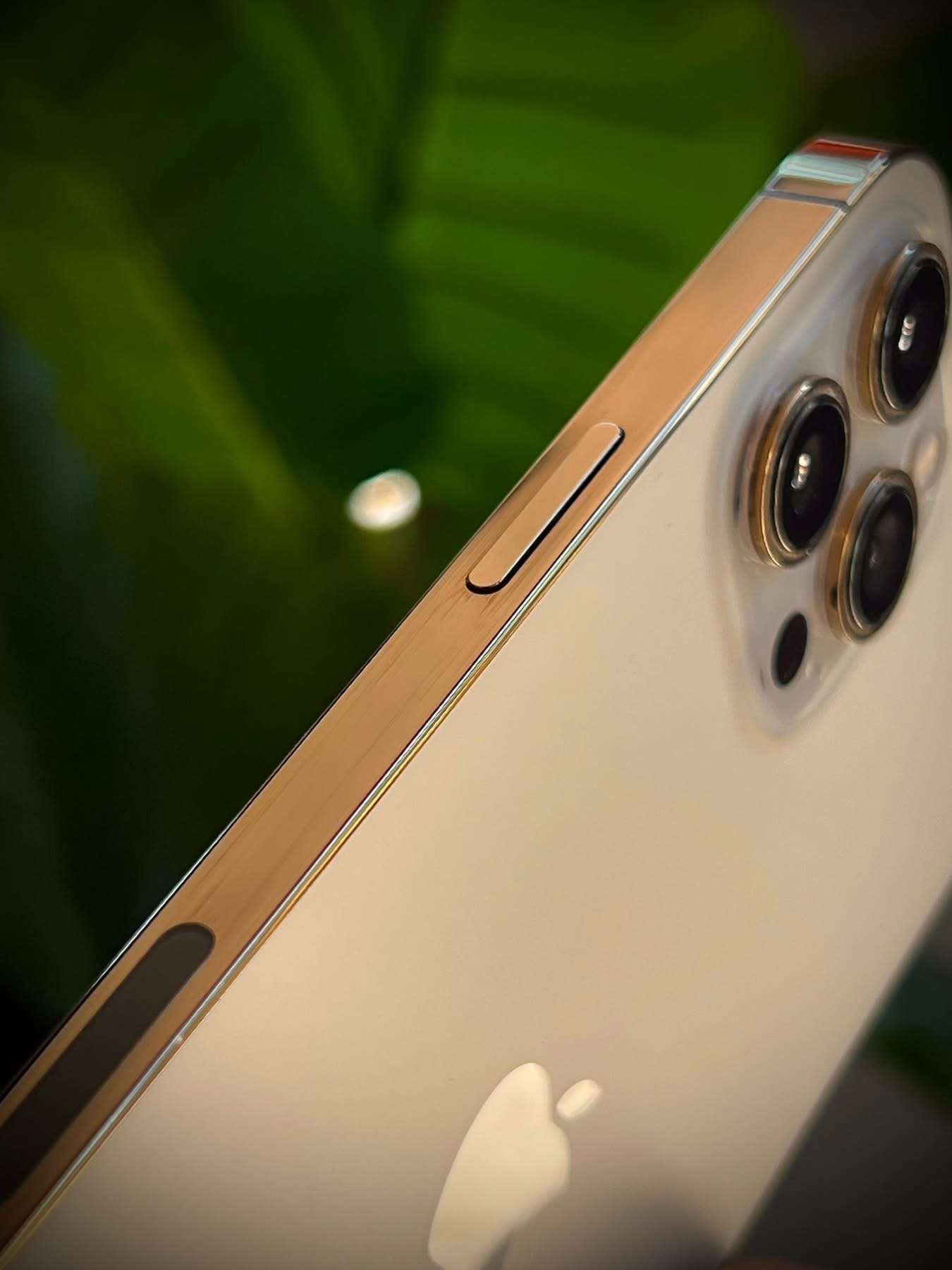 iPhone 12 Pro Max - طرطوس - صورة 2