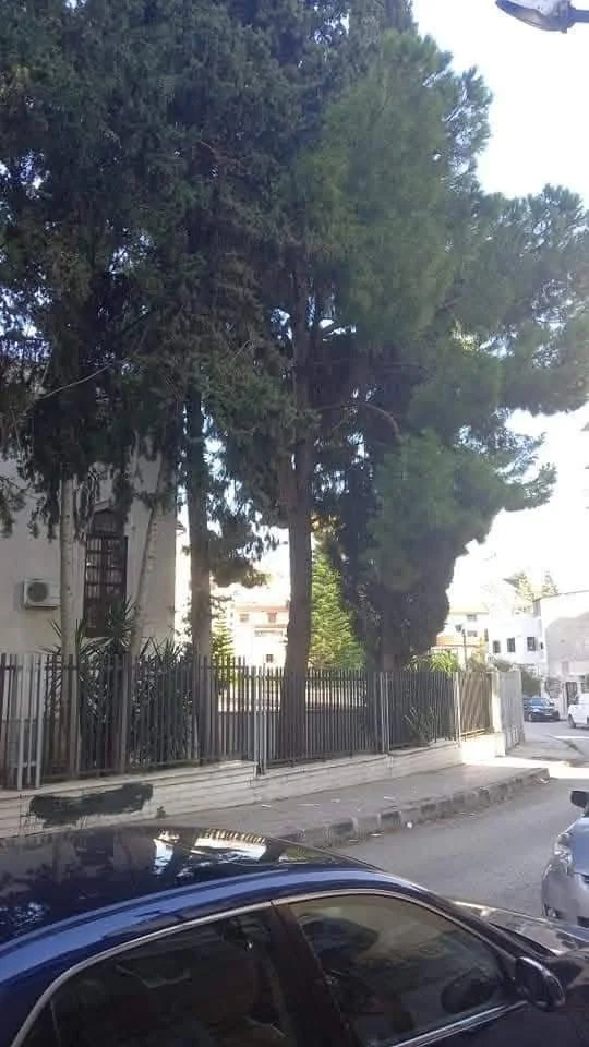 شقة على العظم للبيع 235 م - اللاذقية - صورة 2