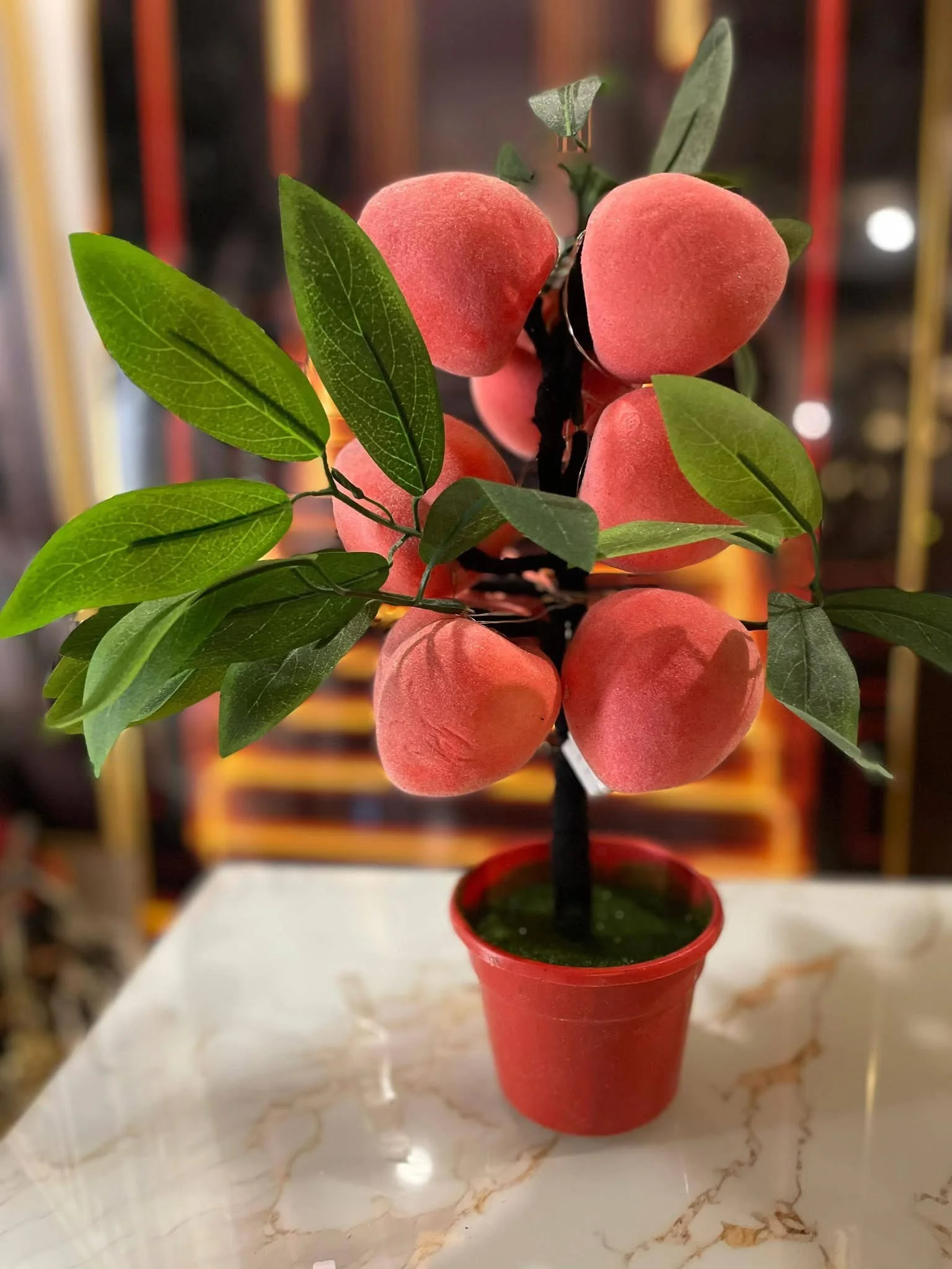 اصايص اشجار - اللاذقية - صورة 2