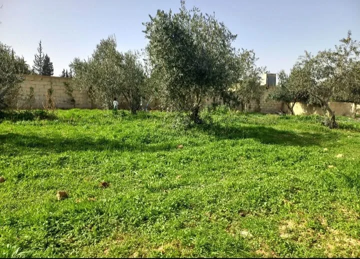 ارض بمساحة 1000 م - دمشق