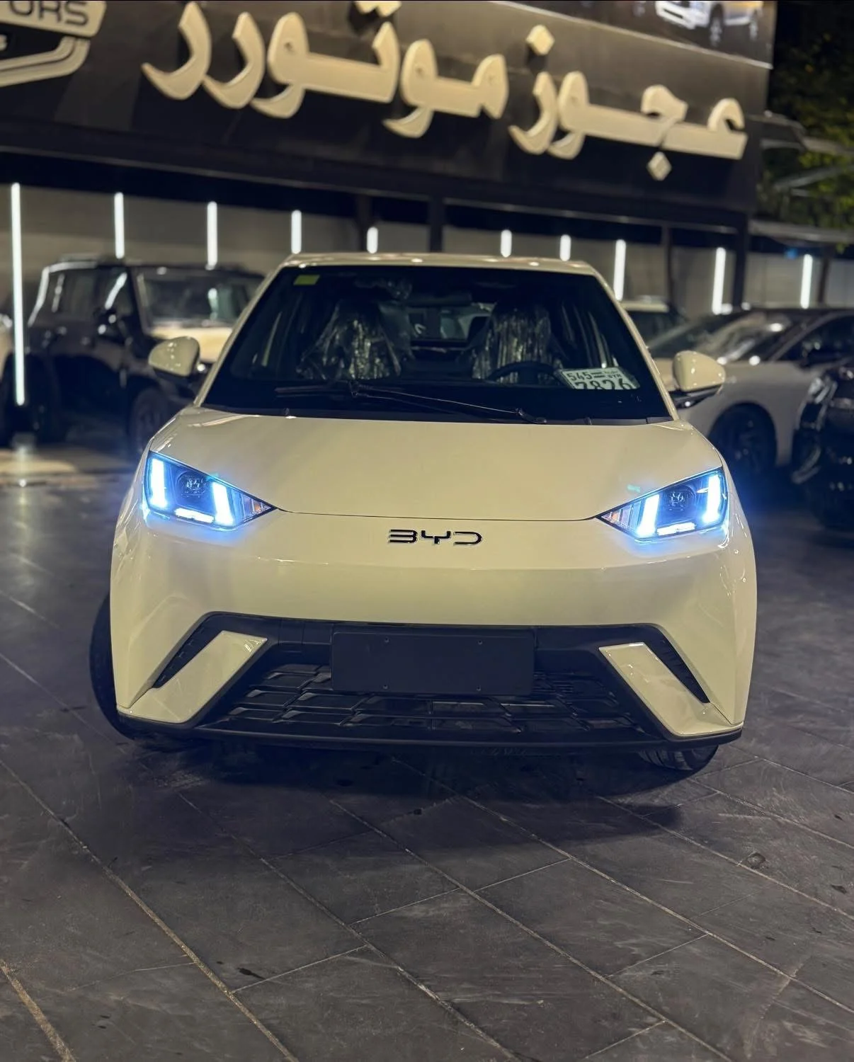 BYD Seagull - دمشق - صورة 2