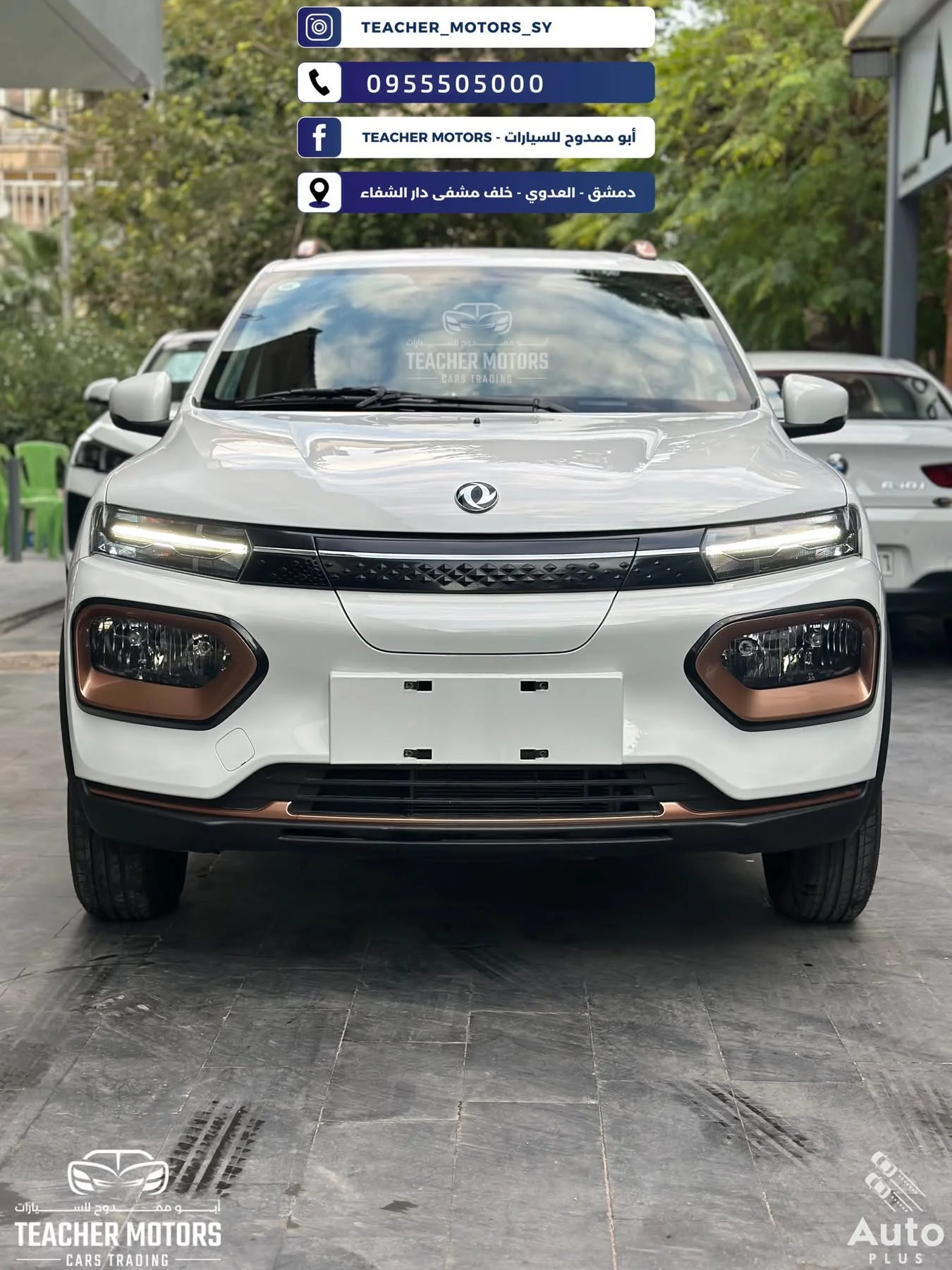 Dongfeng Nano Box - دمشق