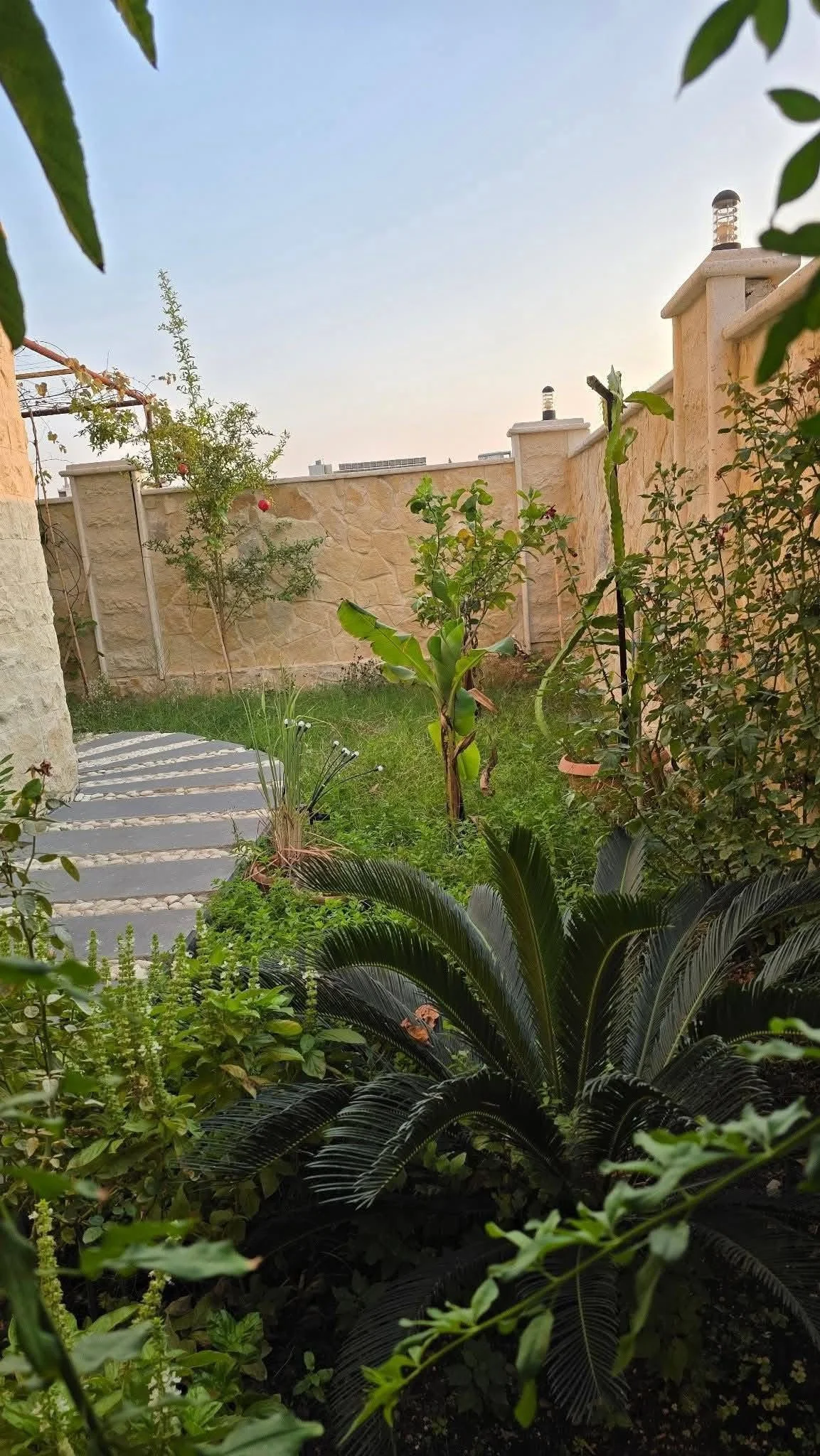 شقة بمساحة كليه 260 م - اللاذقية