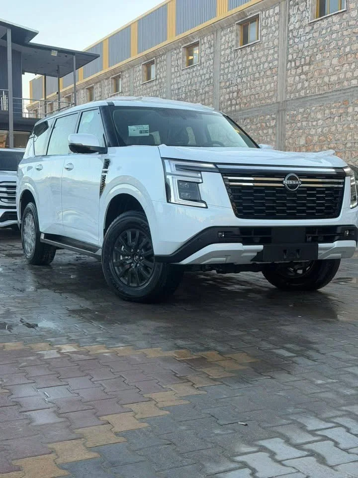 Nissan Patrol Platinum - دمشق