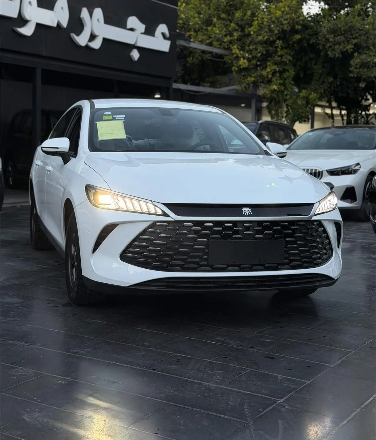 BYD Qin Plus - دمشق