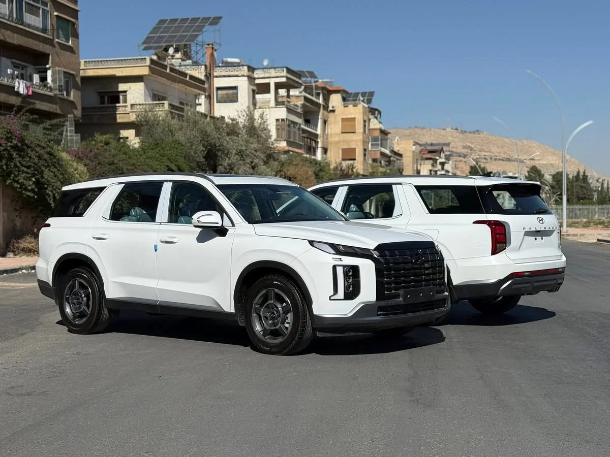 Hyundai Palisade Htrac - دمشق - صورة 2