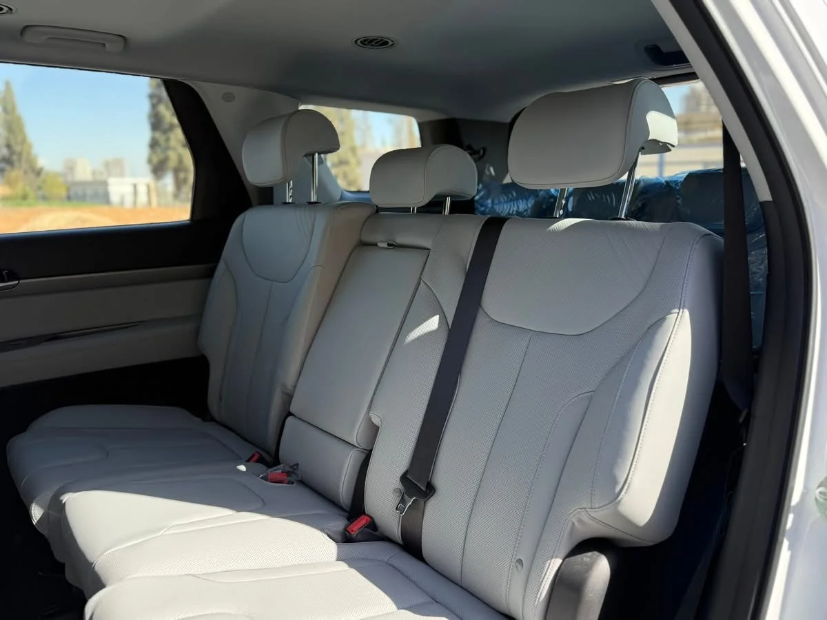 Hyundai Palisade Htrac - دمشق - صورة 4