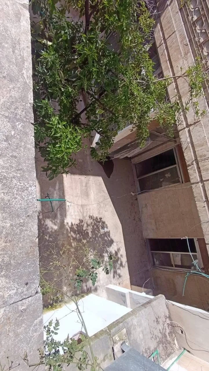 شقة مع حديقة - حلب - صورة 5