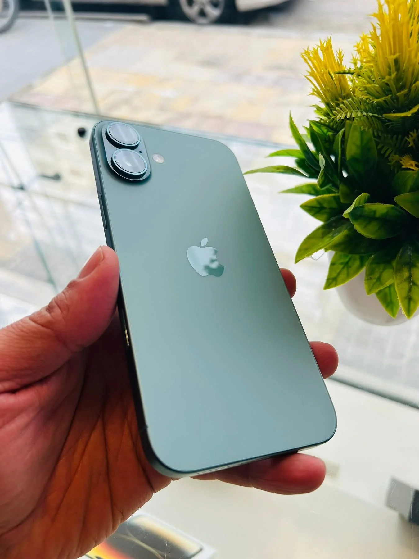iPhone 16 Plus - طرطوس