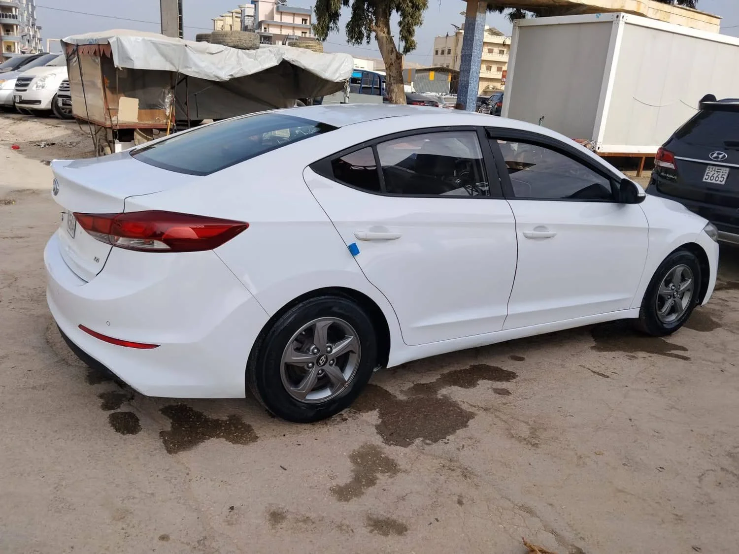 Hyundai Elantra - اللاذقية - صورة 5