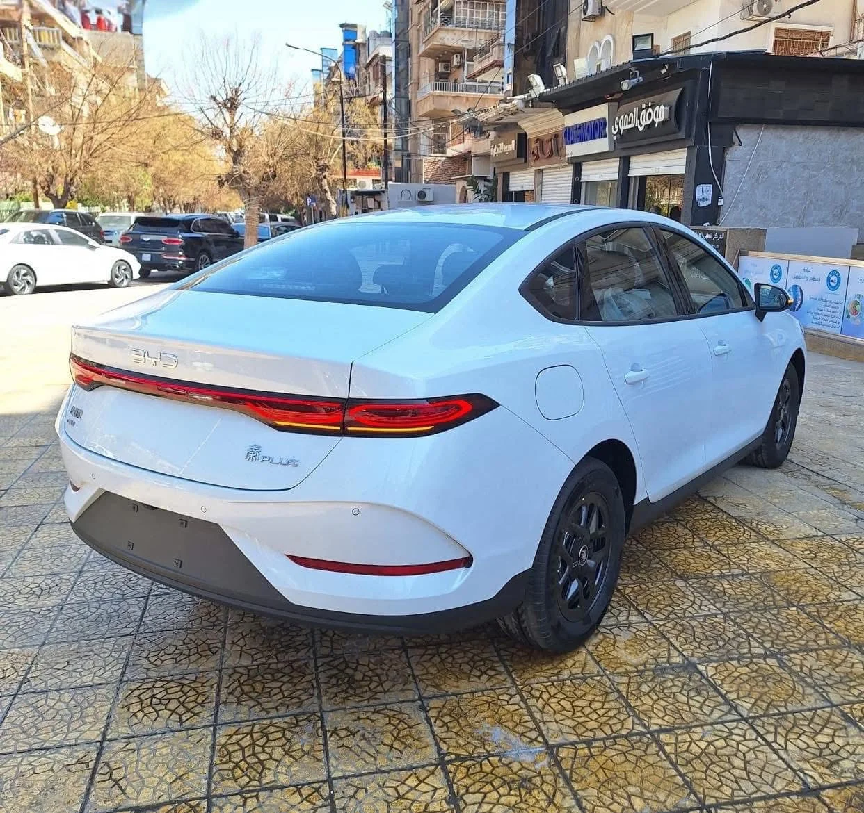 BYD Shen Blas - دمشق - صورة 3