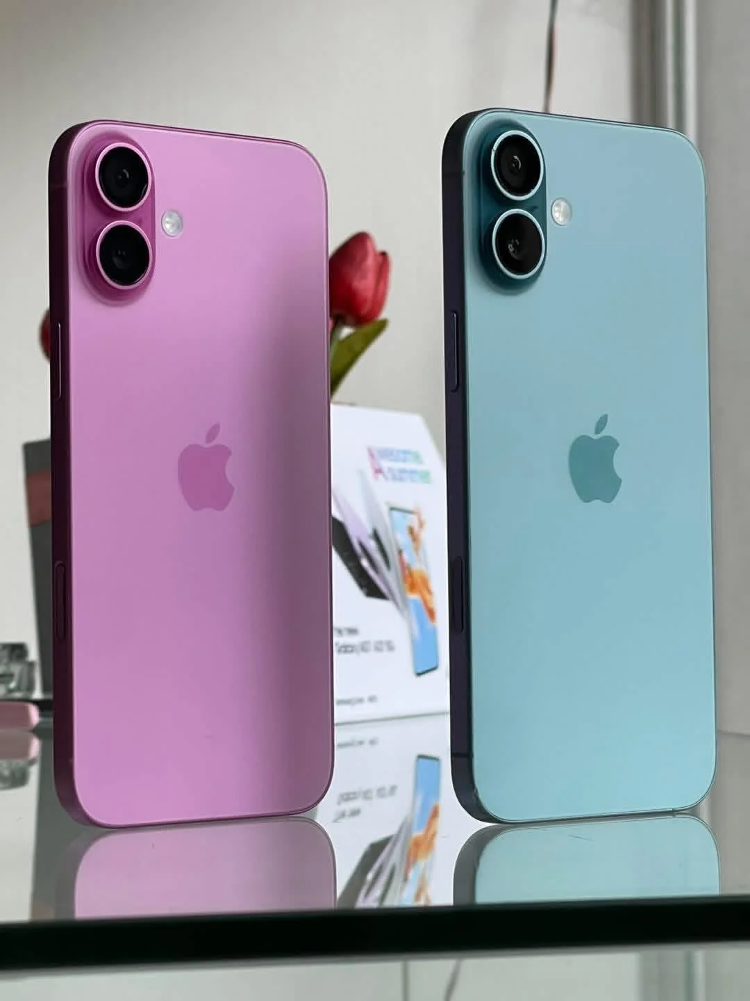 iPhone 16 Plus - طرطوس