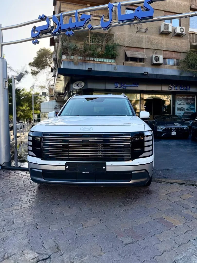 Hyundai Palisade - دمشق