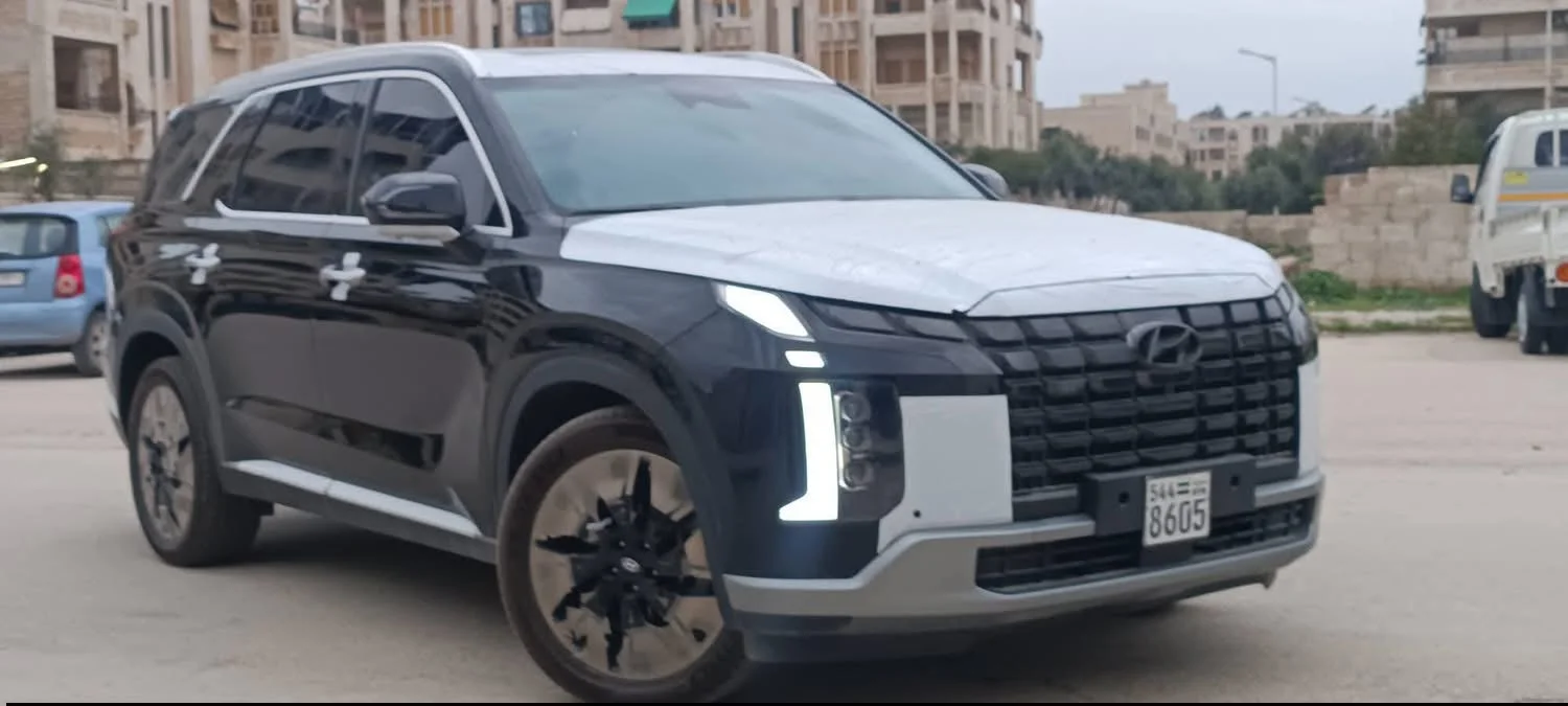 هيونداي Palisade - حماة