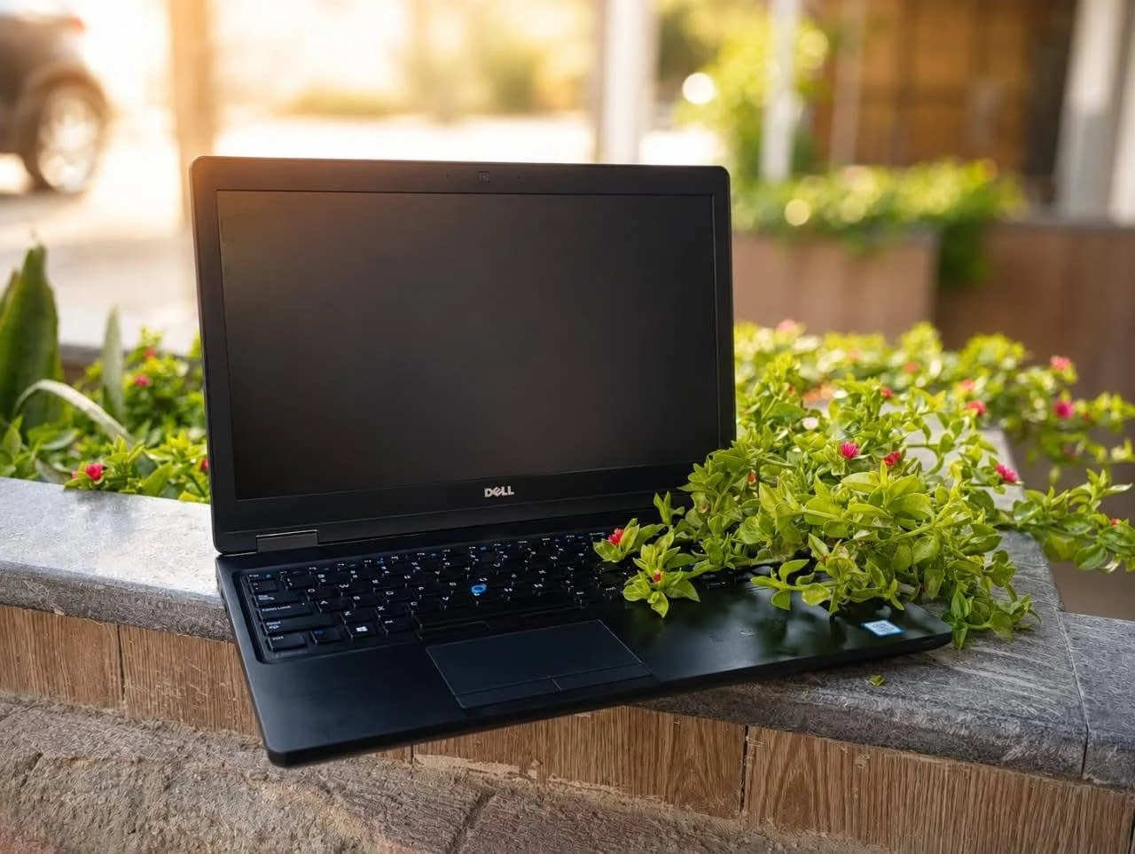 Dell Latitude - اللاذقية