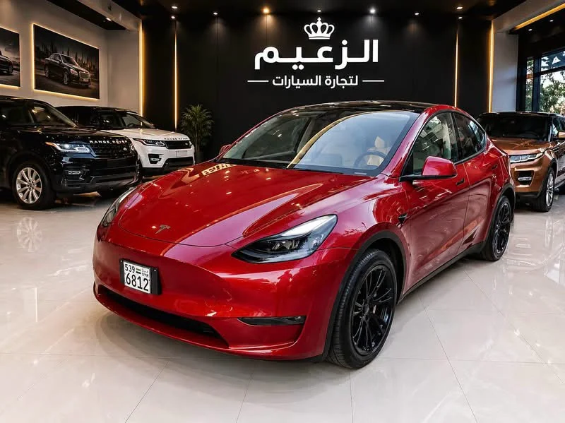 Tesla y - دمشق