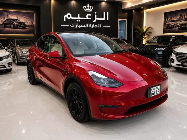 Tesla y - دمشق - صورة 3