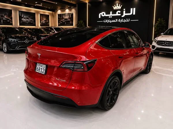 Tesla y - دمشق - صورة 4