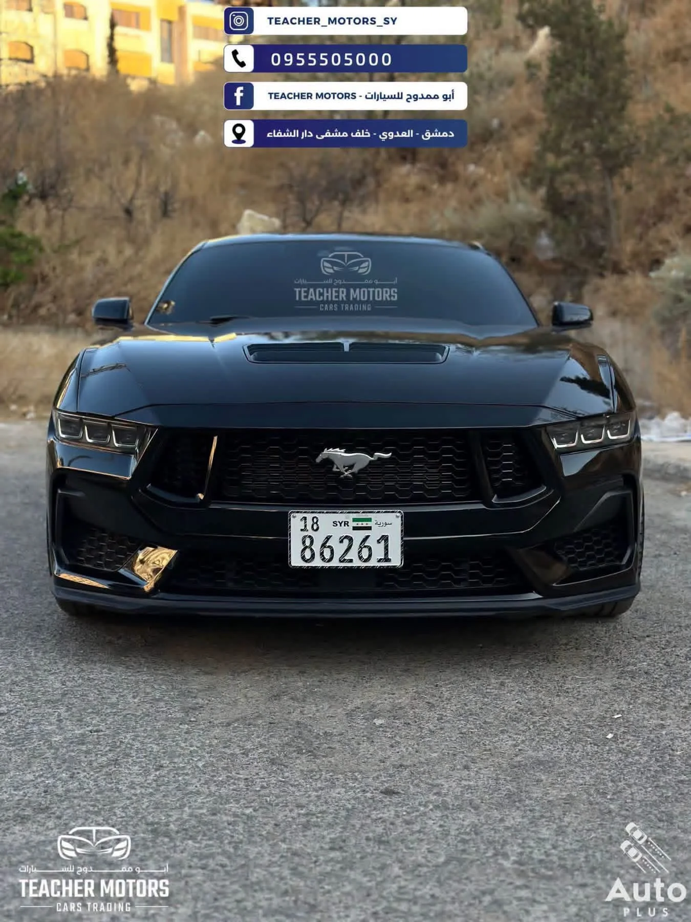 Ford Mustang GT Performance - دمشق - صورة 6