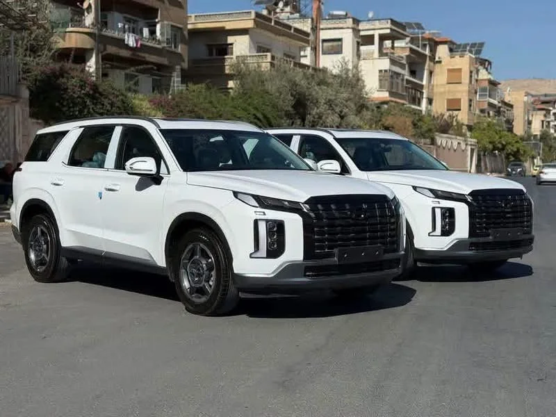 Hyundai Palisade Htrac - دمشق