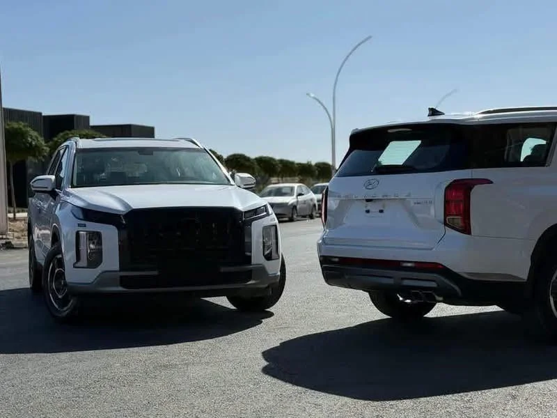 Hyundai Palisade Htrac - دمشق - صورة 2