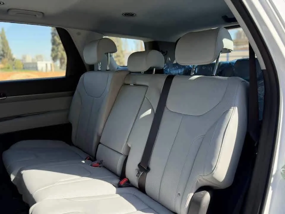 Hyundai Palisade Htrac - دمشق - صورة 5