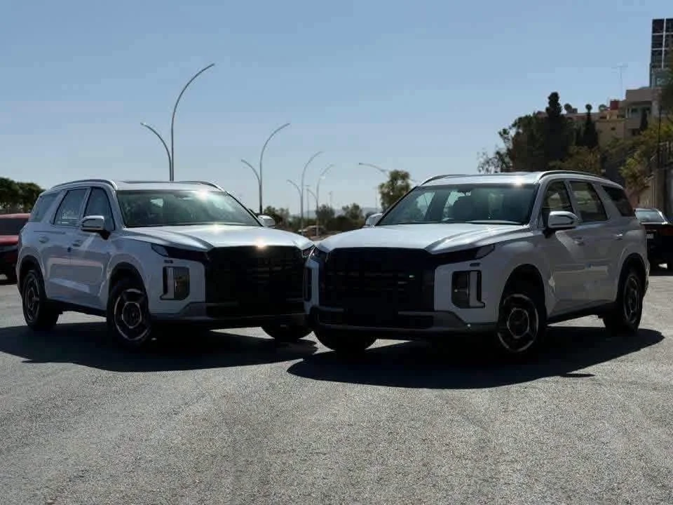 Hyundai Palisade Htrac - دمشق - صورة 6