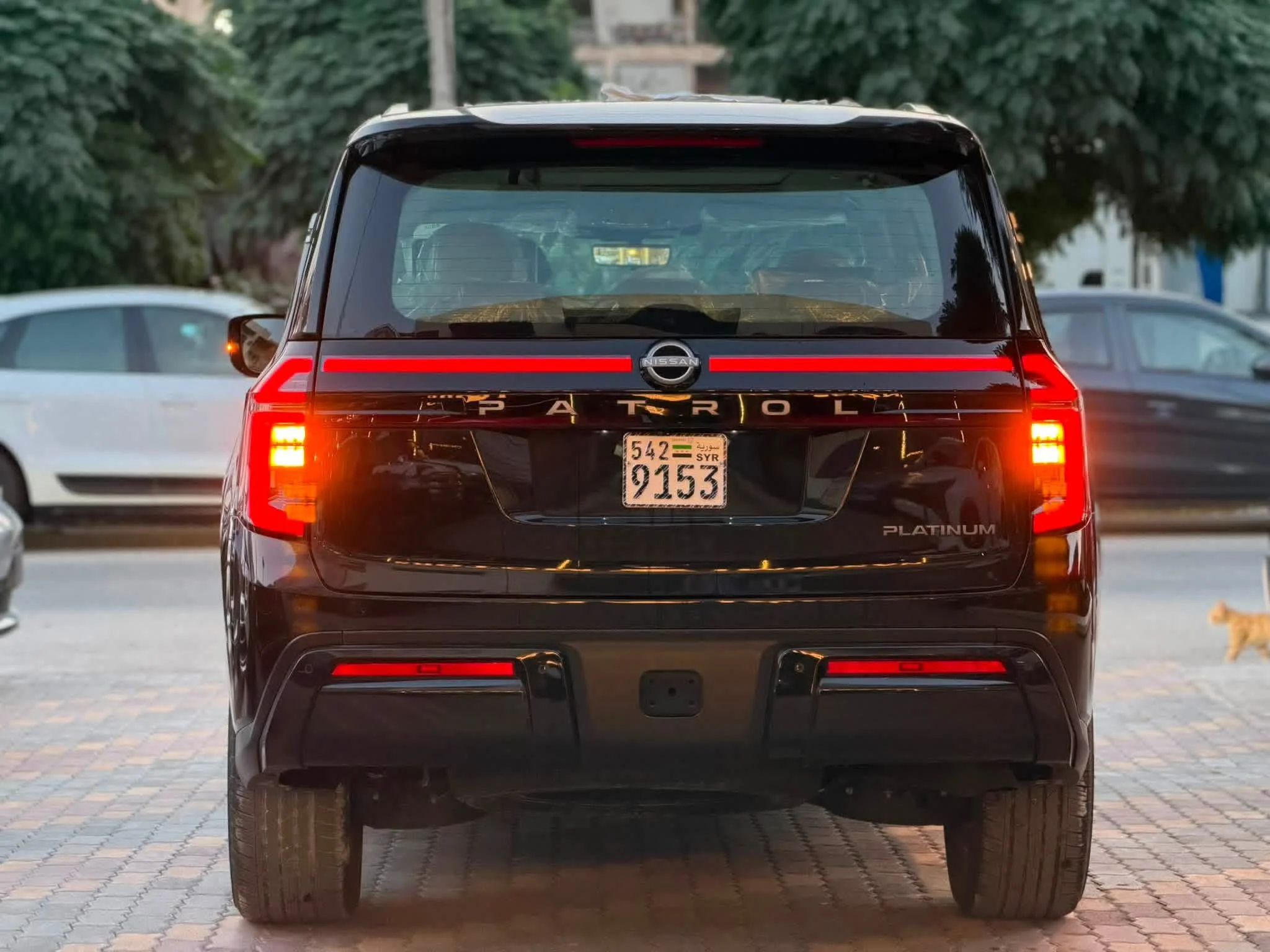 Nissan Patrol Platinum - حلب - صورة 2