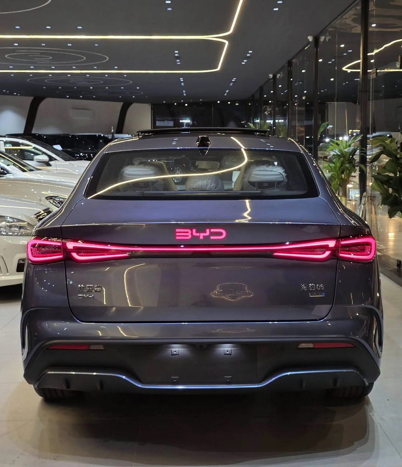 BYD Seal 06 - حماة - صورة 3