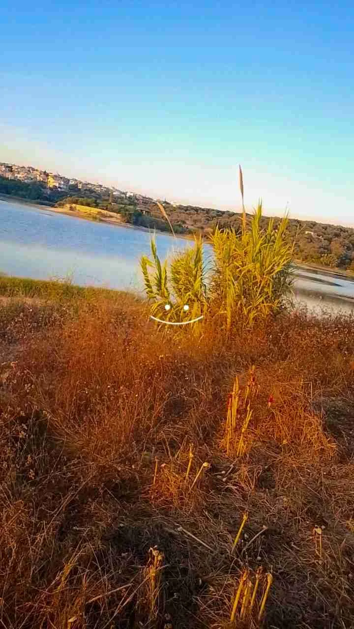 ارض للبيع في محافظه اللاذقيه صالحه للبناء - اللاذقية - صورة 2