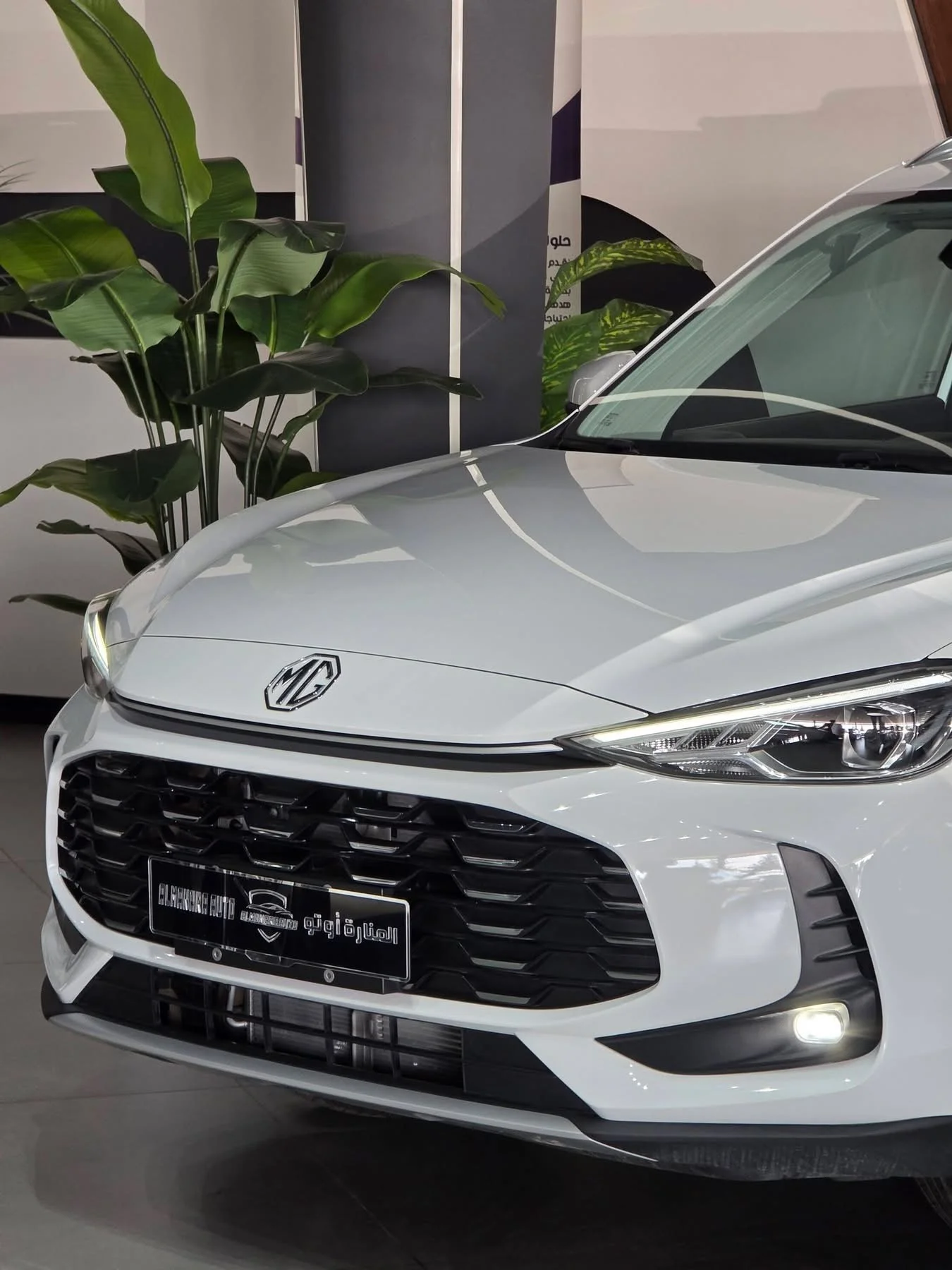MG ZS - حماة