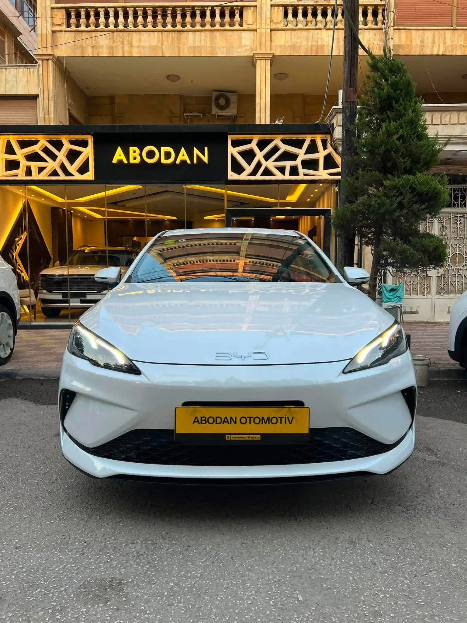 BYD BM-I - حلب
