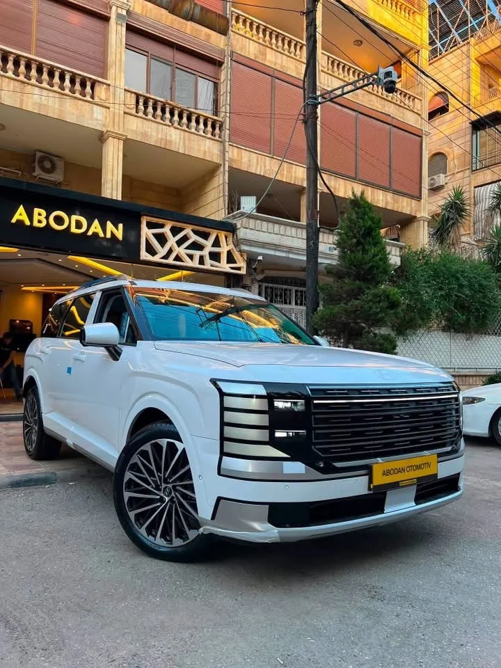 Hyundai Palisade Calligraphy - حلب