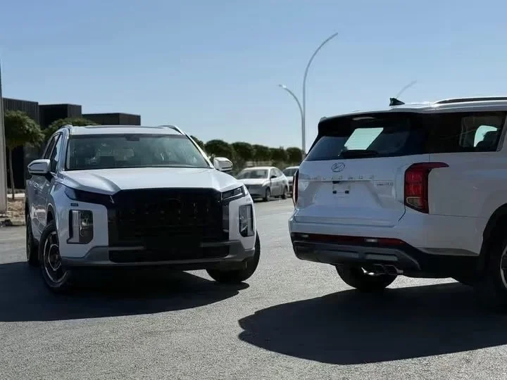 Hyundai Palisade Htrac - دمشق - صورة 2