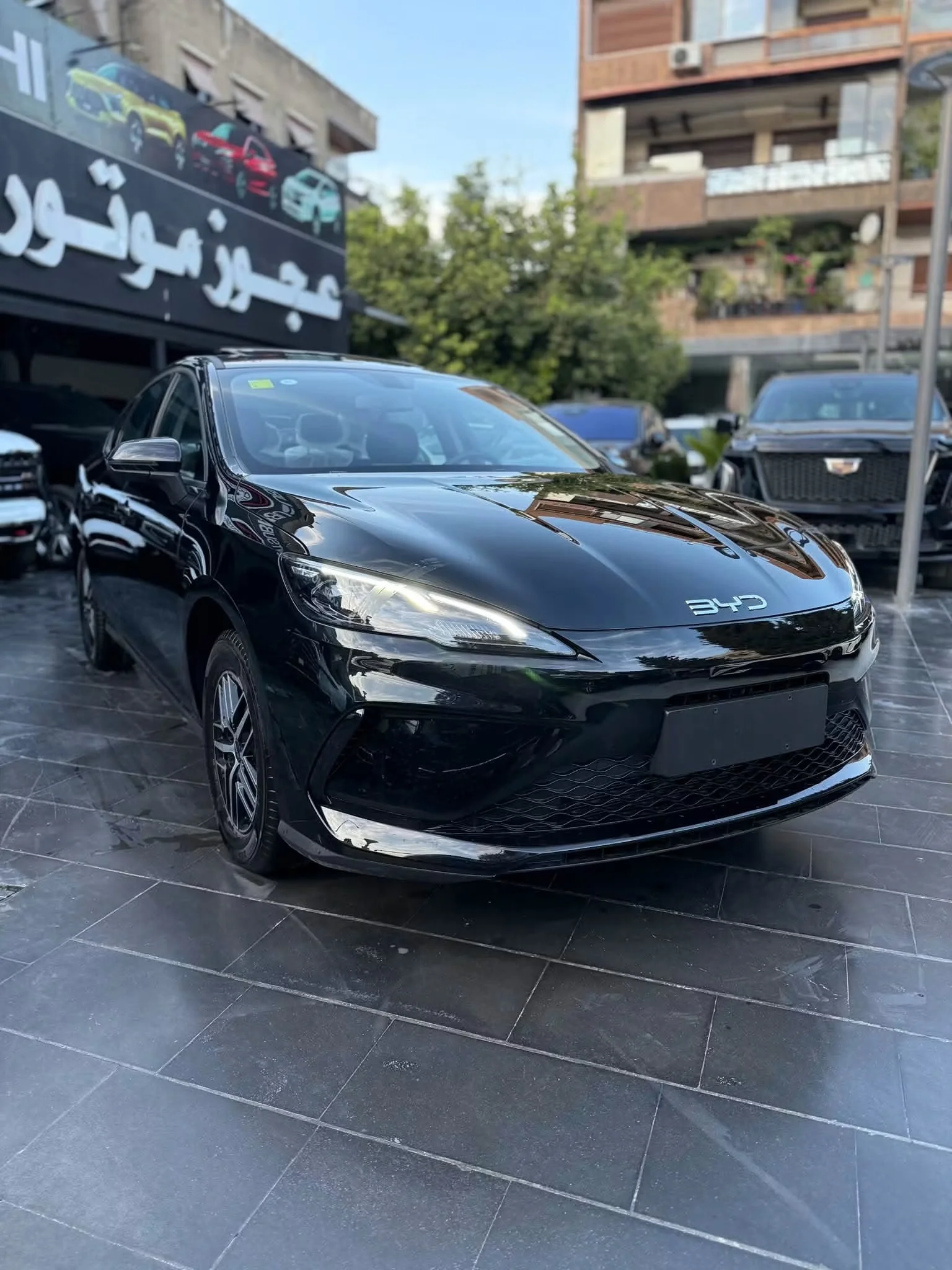 BYD Seal 05 - دمشق - صورة 6