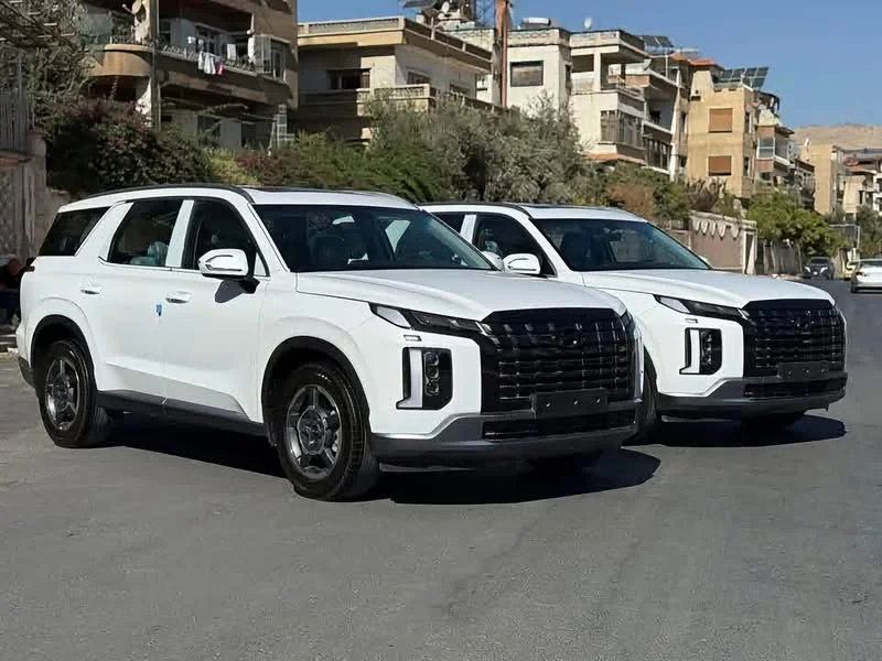 Hyundai Palisade Htrac - دمشق