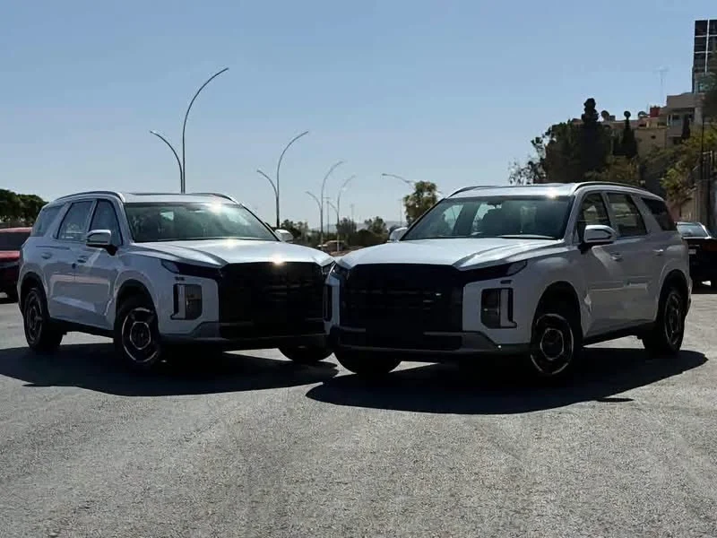 Hyundai Palisade Htrac - دمشق - صورة 2