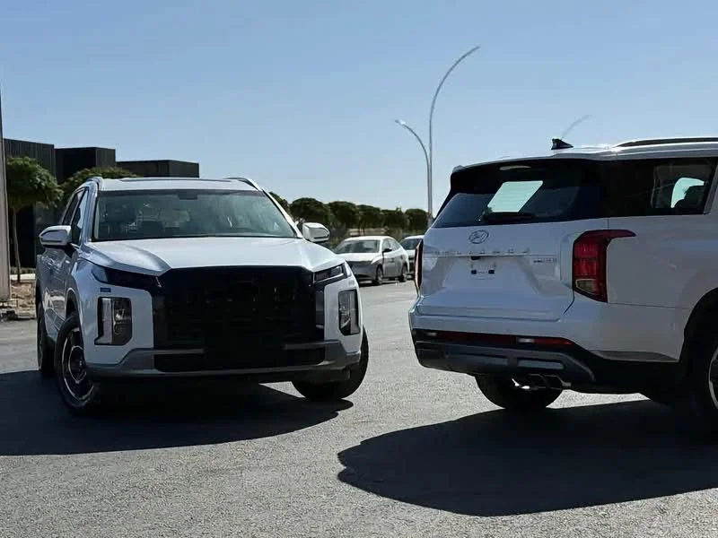 Hyundai Palisade Htrac - دمشق - صورة 3