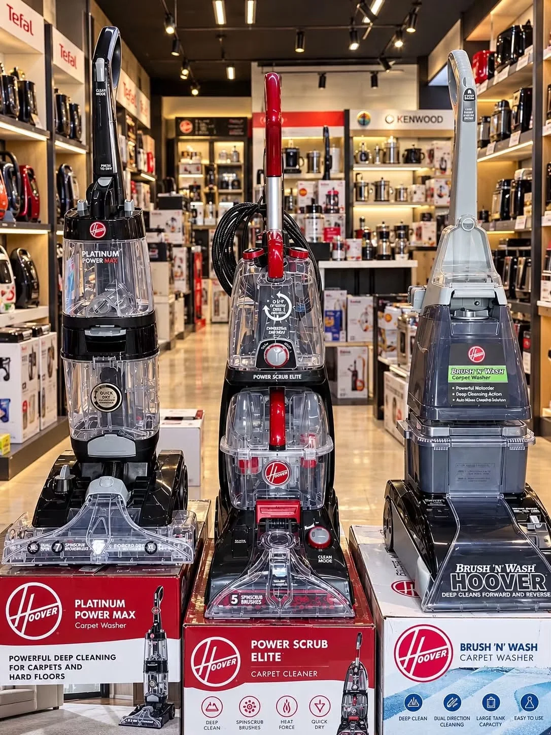 Hoover Platinum Power Max - دمشق
